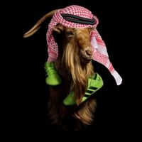 suara asli - firts