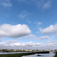 suara asli - DC VELOCITY TERBARU