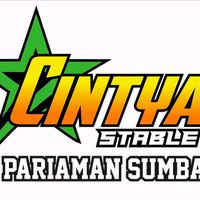 cintyastable
