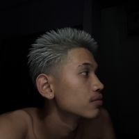 scrapphum2_