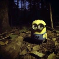 dbwkrt