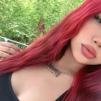 nld_gissel