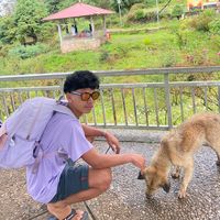 suara asli