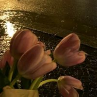 fatima.kabia79