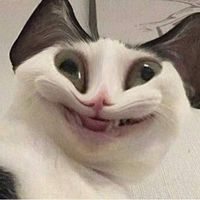 iceisaraporn