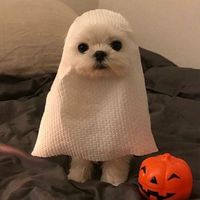 _ej536