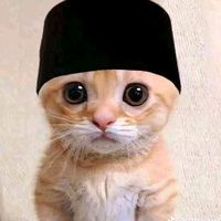 suara asli - mulyadi🎗