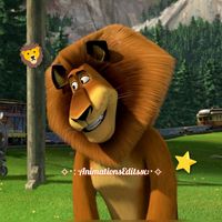 animations_editssx