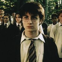forharrypotter