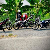 pehi247