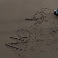 no.joy246