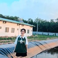nhạc nền - hue21012001