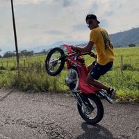 cristian_vizard
