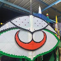 insan_hina6989