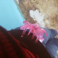 nellys_.e