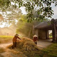 nhạc nền - Tuổi thơ tôi
