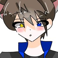 flyingcat0817