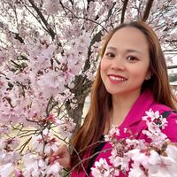 nhạc nền - Tulip 🥰🥰🥰