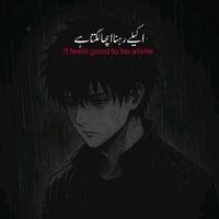 hamza31355