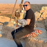 mohamed.sa3eeed
