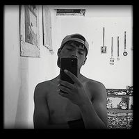 elmer_limx