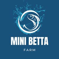 mini_betta_farm