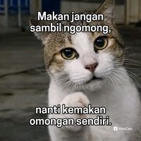 its_me_inal