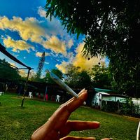 son original