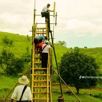 original sound - zwenyinyi198