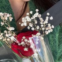 nourette_