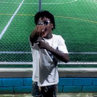 robin__335