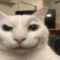 chubehaysuy_