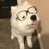 hajun_1109