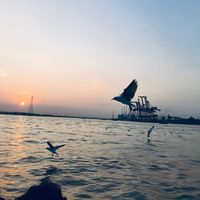 original sound - Ma Htwaye🖤🦦(official acc)