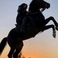 almadecampocavalgadas