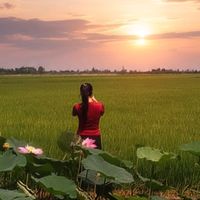 nhạc nền - Lặng.❤️