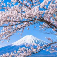 nepaljapan59