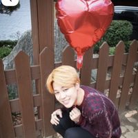 jiminpelotita