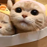 original sound - callme_farii2