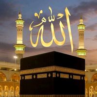 shakeelahmad552