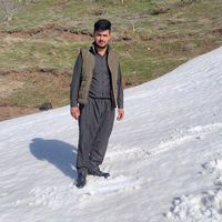 hamaemala0