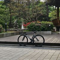 bxt288