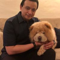 trillanessonny