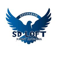 s.d_loft