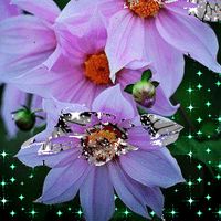 оригинальный звук