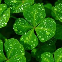 âm thanh gốc - 🍒🍒🍒