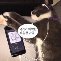 오리지널 사운드 - ,