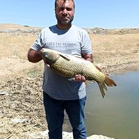 saityilmaz7272