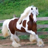 _muxriddin_223