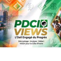 pdciviews